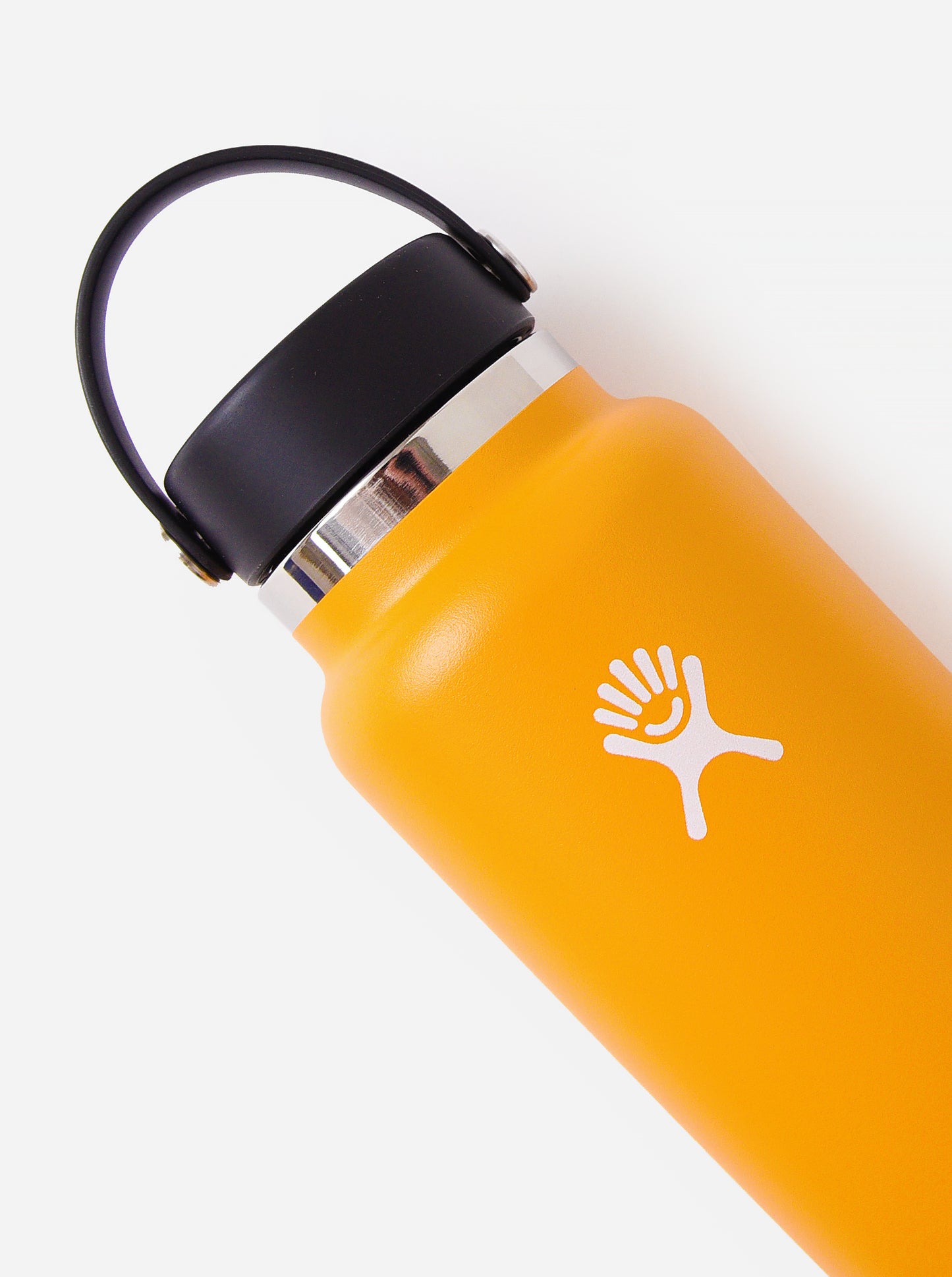 Hydroflask Wide Mouth 32oz Water Bottle - Saint Bernard