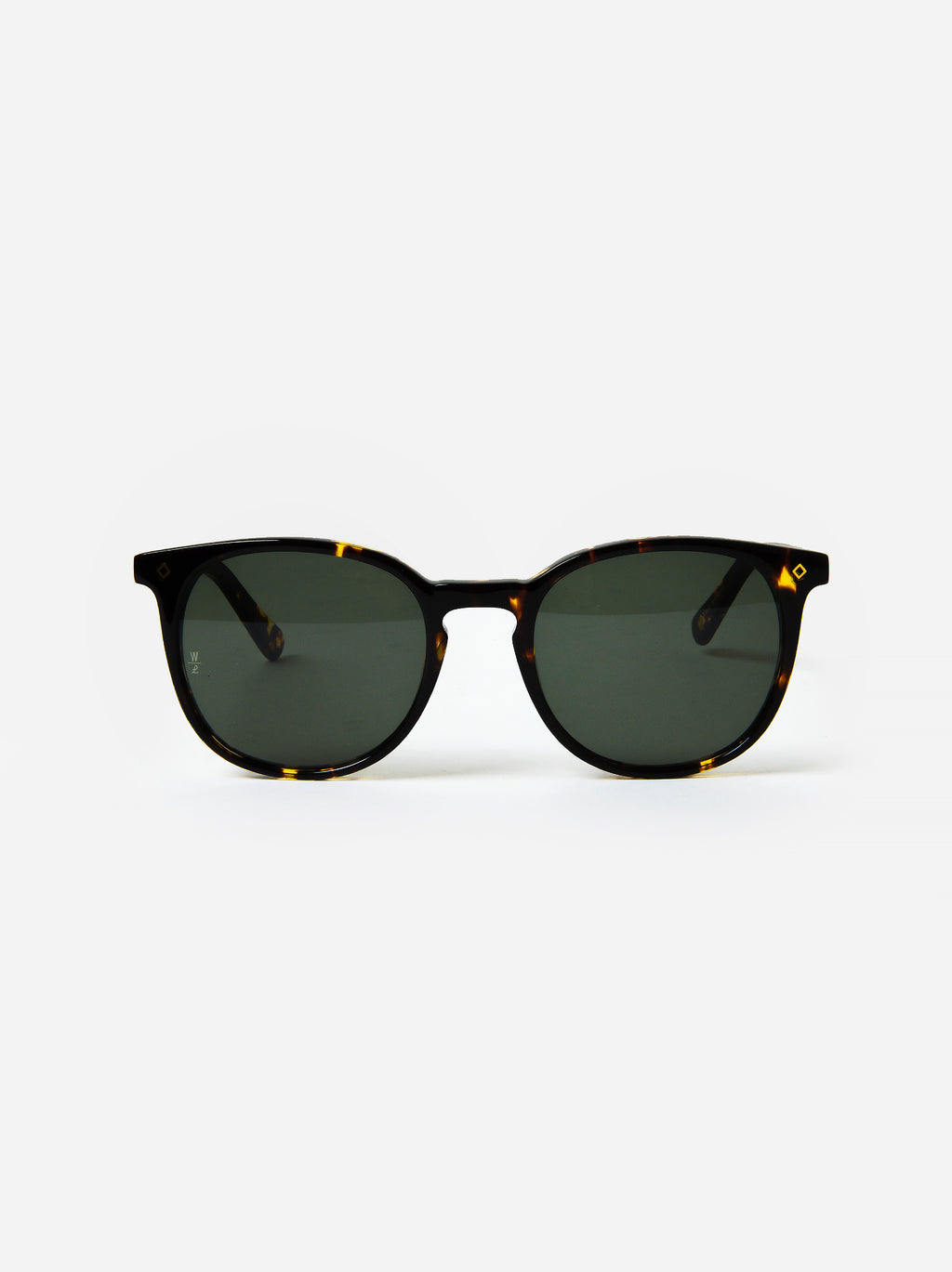 WL15JxYELLOWTORTOISE-alt2
