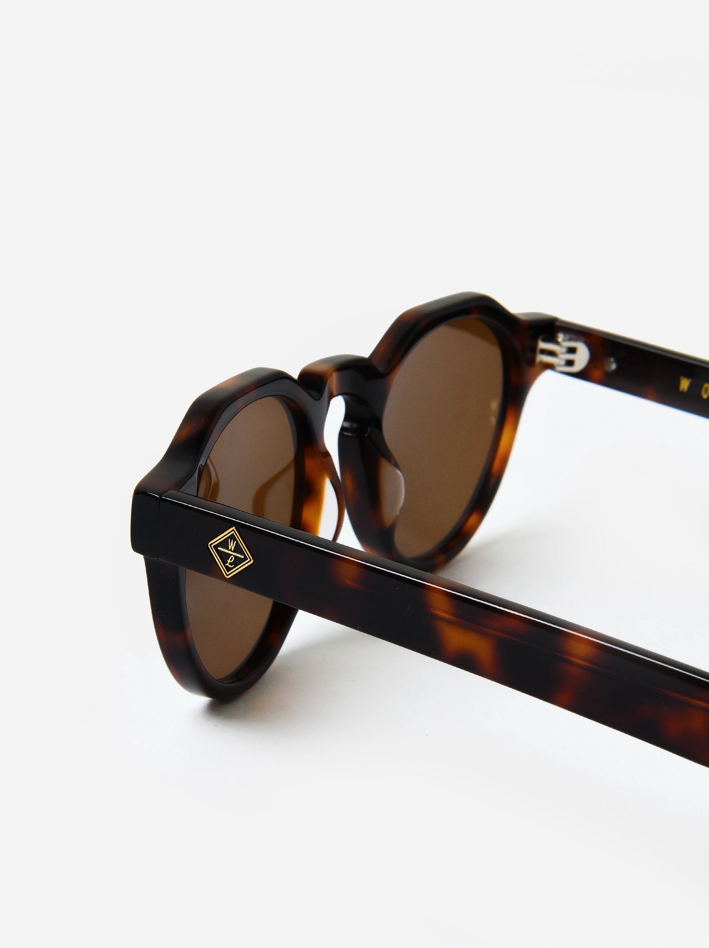 WL25JxBROWNTORTOISE-alt2