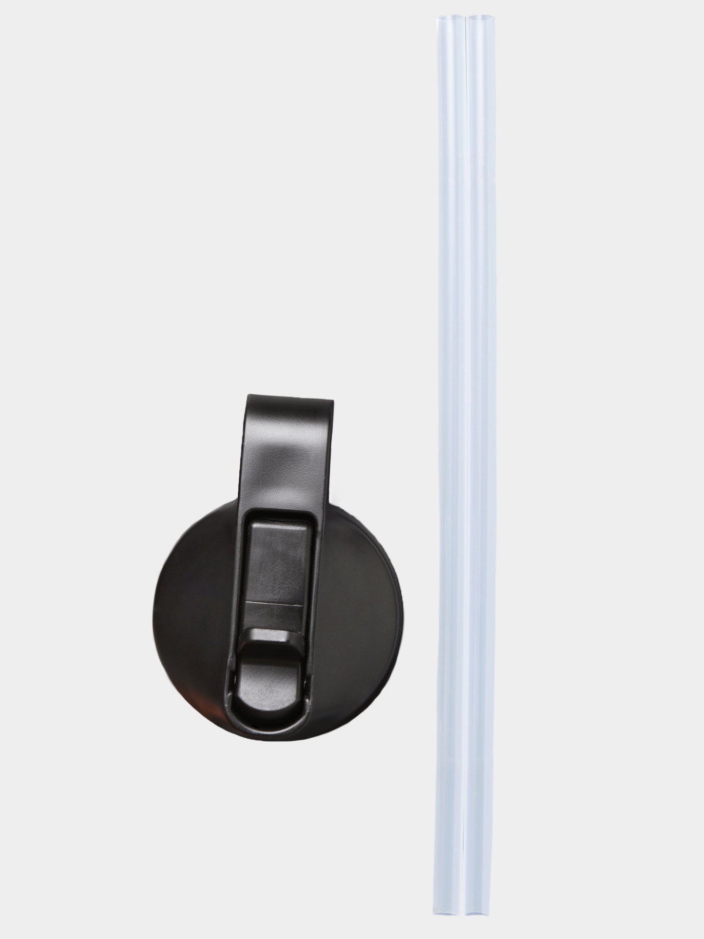 Hydroflask Straw Lid - Saint Bernard