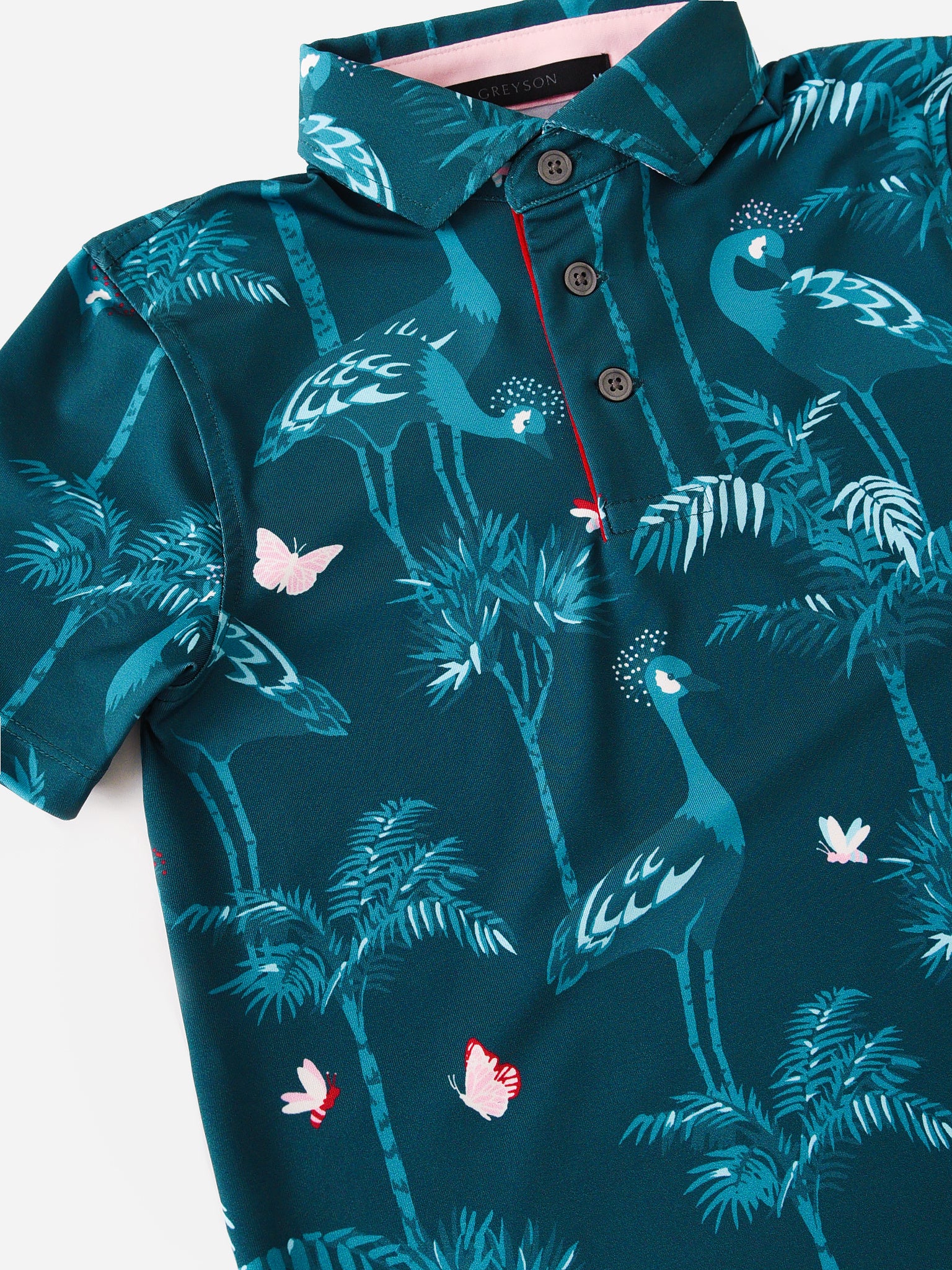 Greyson Boys' Heron Dance Polo Saint Bernard