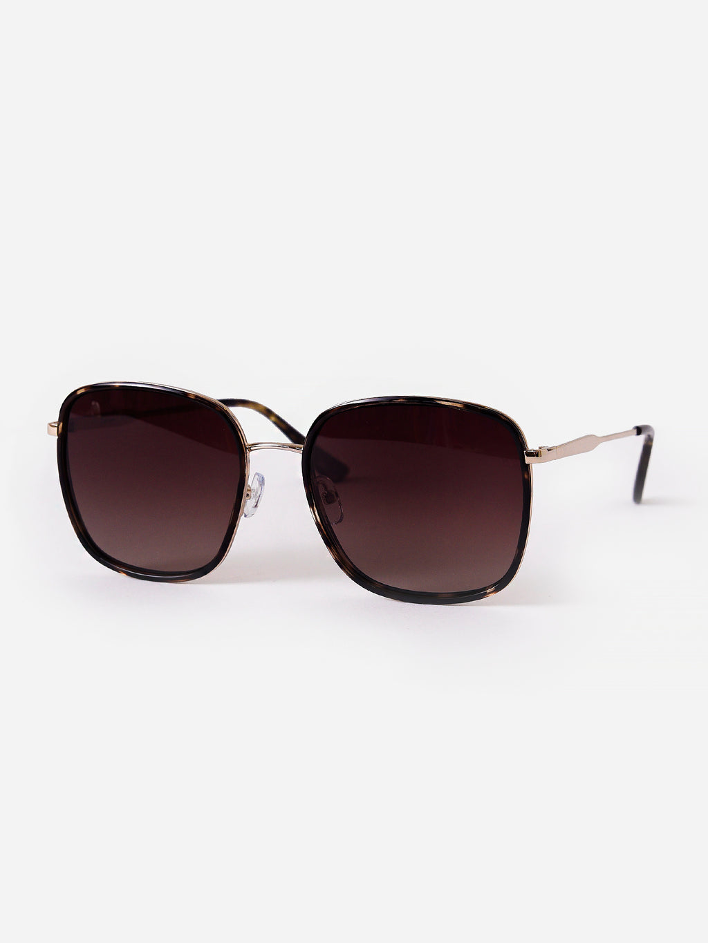 ZEM222113xBROWNTORTOISEGRADIENT-alt2