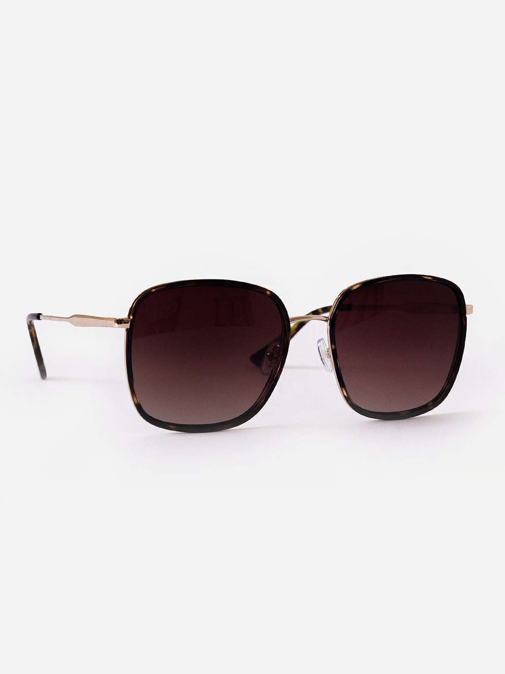ZEM222113xBROWNTORTOISEGRADIENT-alt3