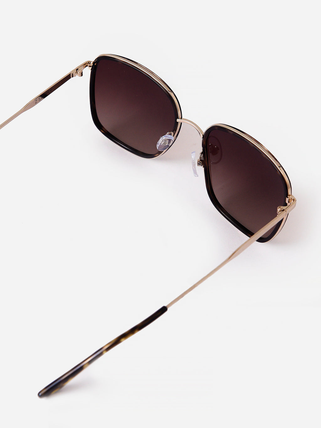 ZEM222113xBROWNTORTOISEGRADIENT-alt4
