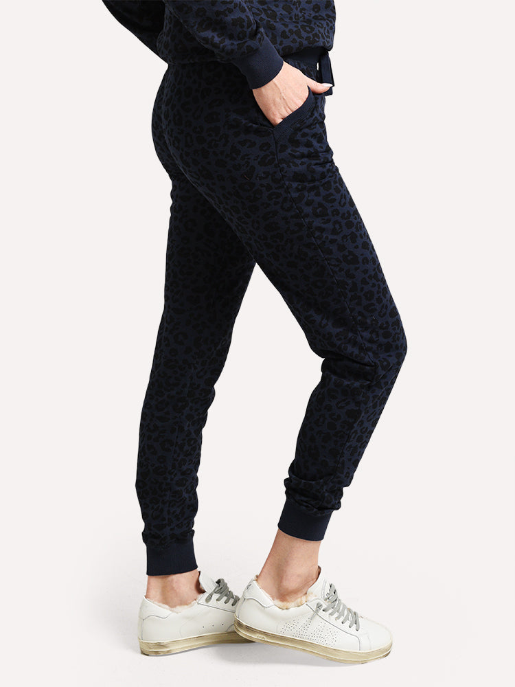ZP191913-alt3