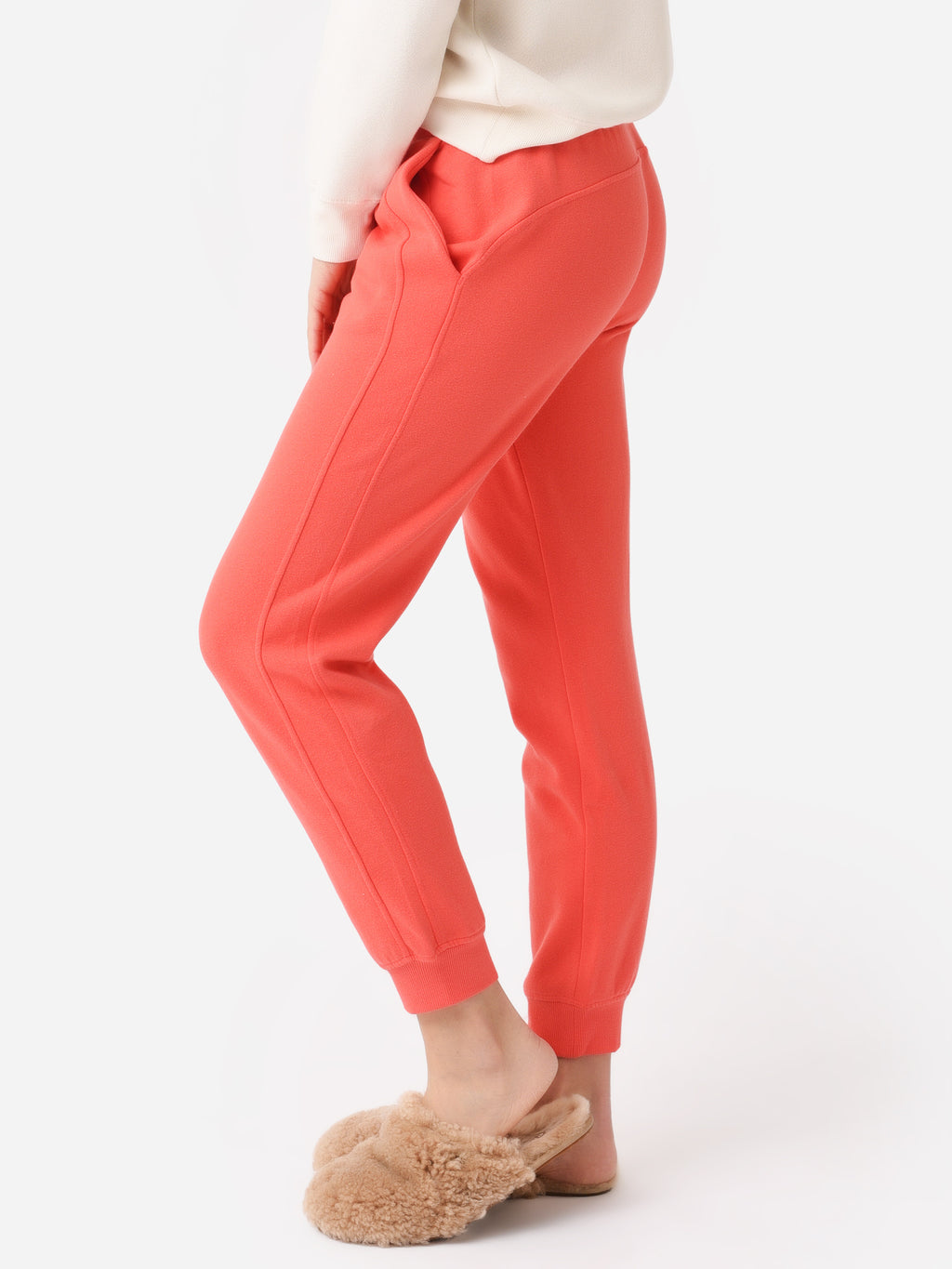 ZP231400xFIRECRACKER-alt2
