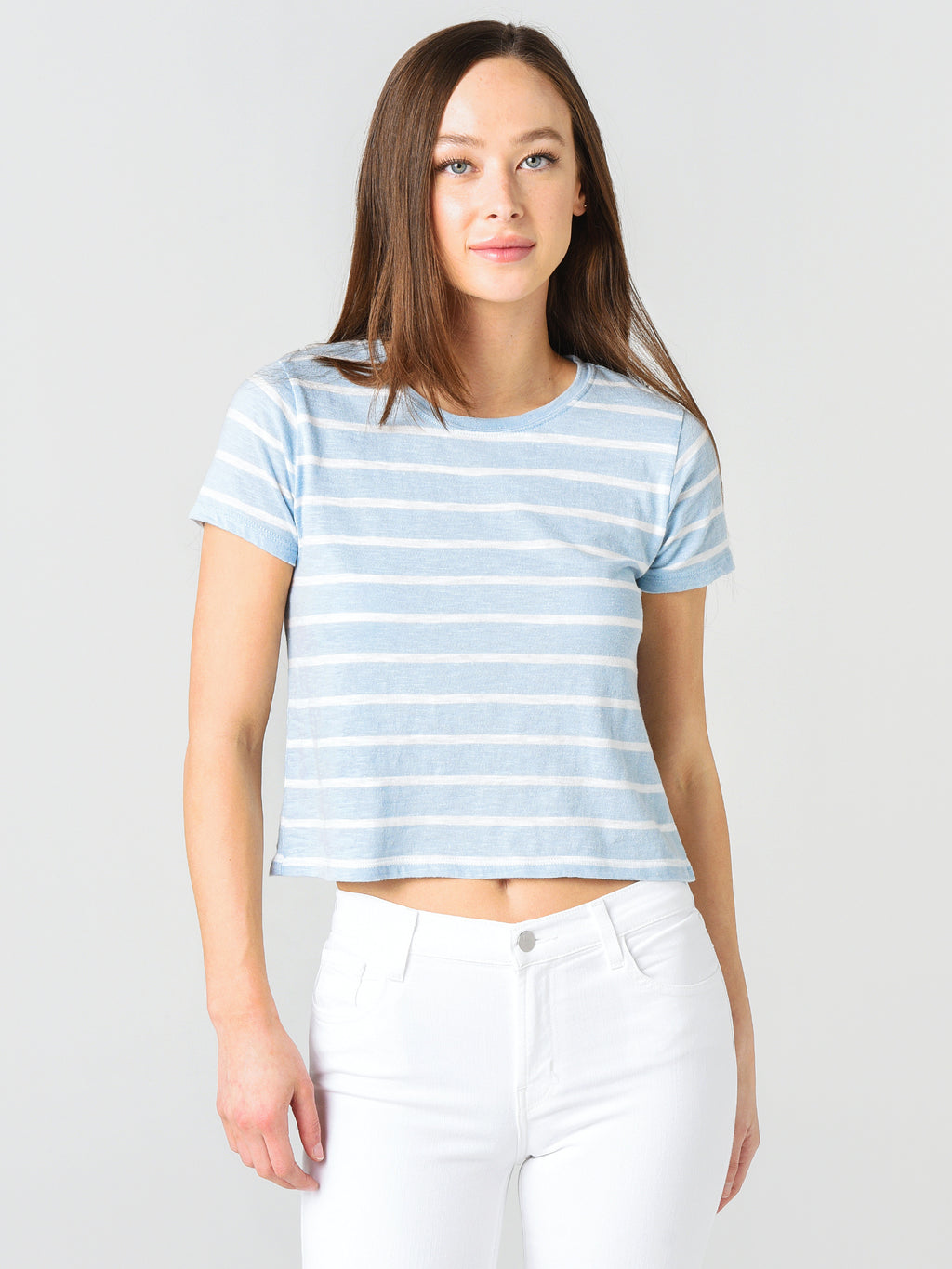 Z Supply The Desert Stripe Baby Tee - Saint Bernard