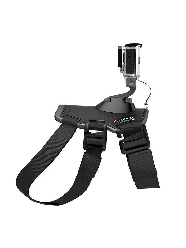 GoPro Fetch Dog Mount - Saint Bernard