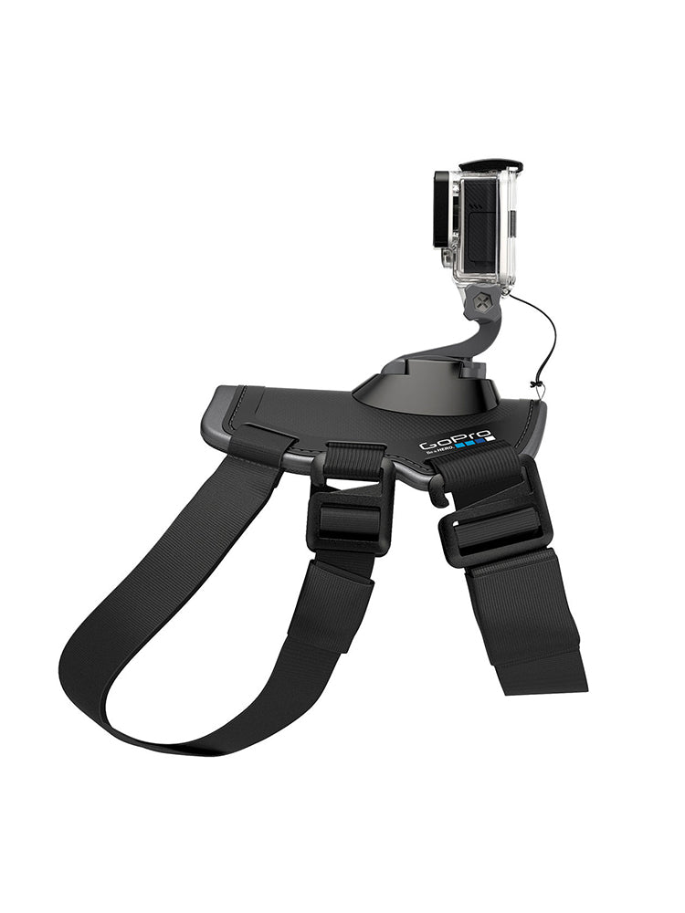 GoPro Fetch Dog Mount - Saint Bernard