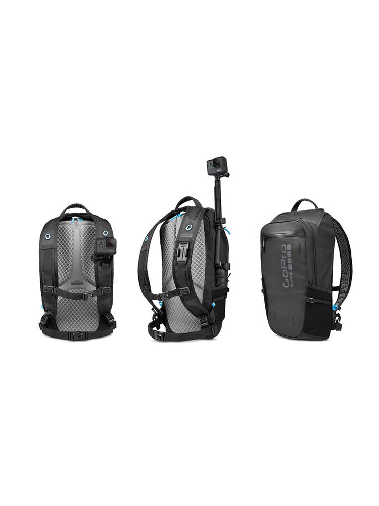 GoPro Seeker - Saint Bernard