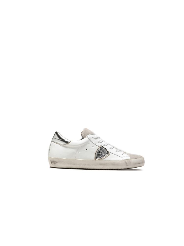 Philippe Model CLLD 1005 Basic - Saint Bernard