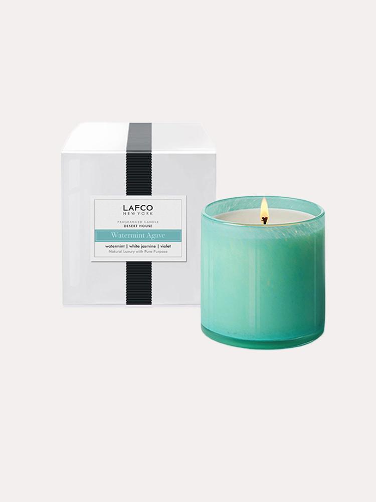 Lafco Watermint Agave Signature 15.5oz Candle - Saint Bernard
