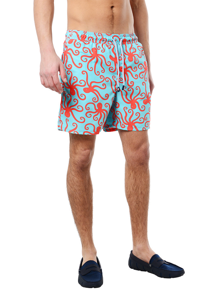 Tom & Teddy Men's Octopus Volley - Saint Bernard