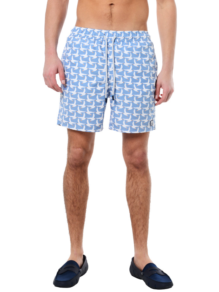 Tom & Teddy Men's Seagulls Volley - Saint Bernard