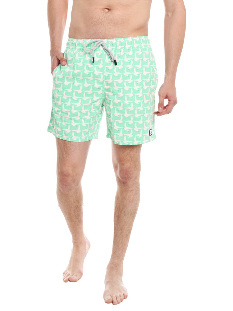 Tom & Teddy Men's Seagulls Volley - Saint Bernard