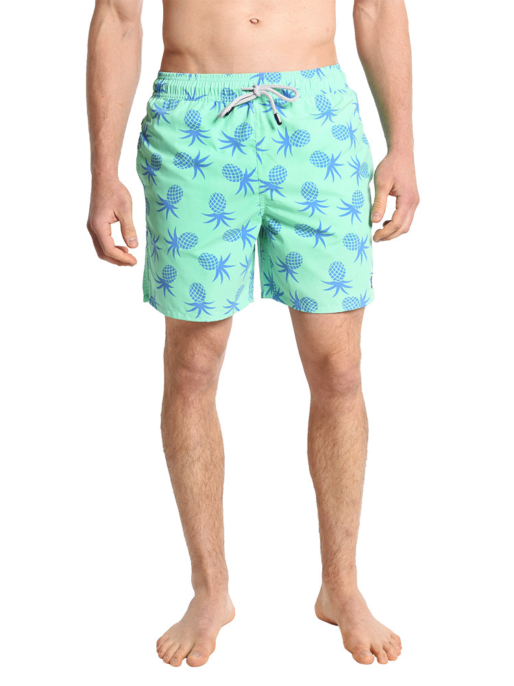 Tom & Teddy Pineapple Volley Swim Trunk - Saint Bernard