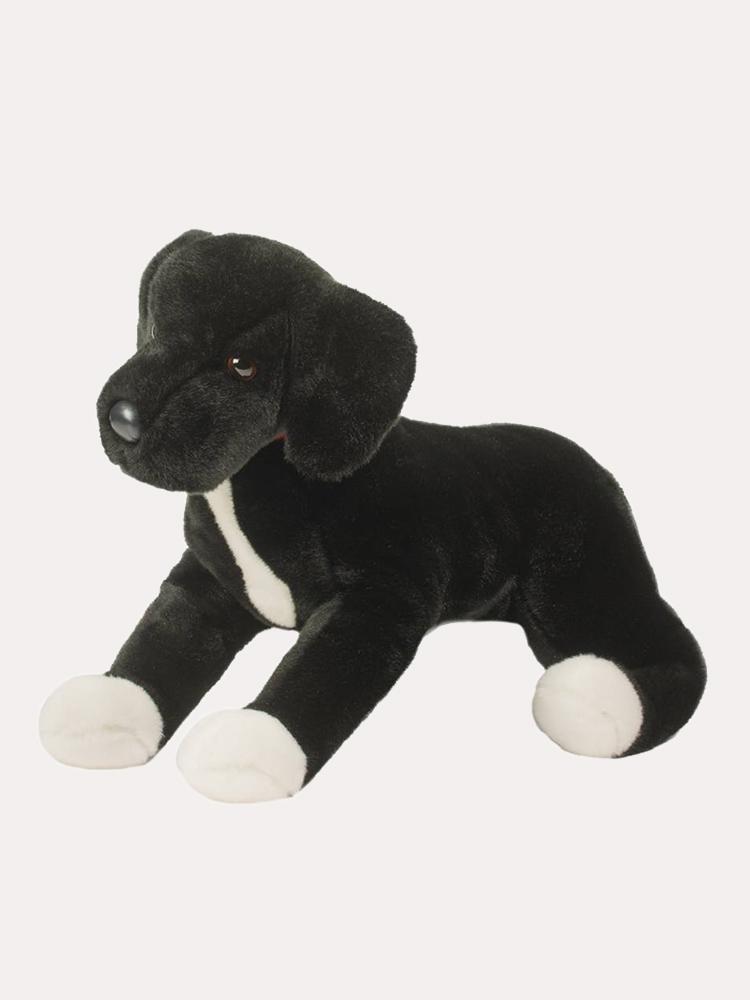 Saint Bernard Mr. Big Black Lab Dog