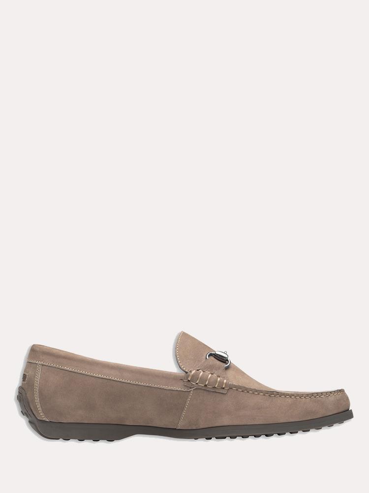 Peter Millar Catalina Bit Driver - Saint Bernard