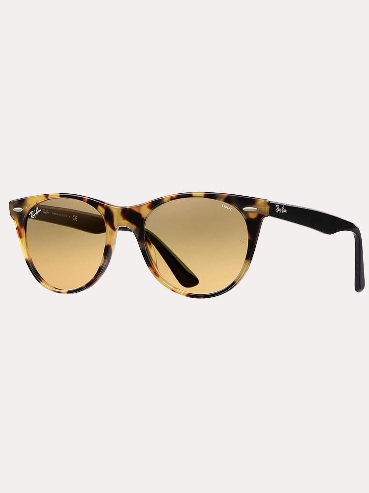 Ray-Ban Wayfarer II Evolve Photocromic Sunglasses - Saint Bernard