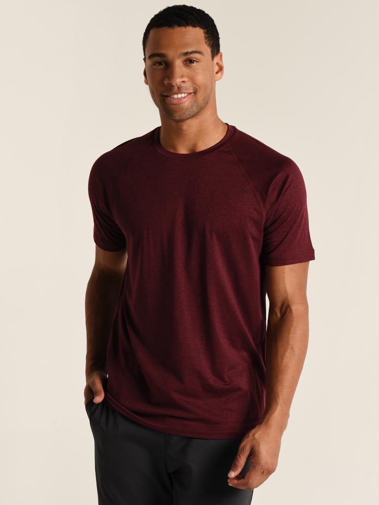 Rhone Reign Tee - Saint Bernard