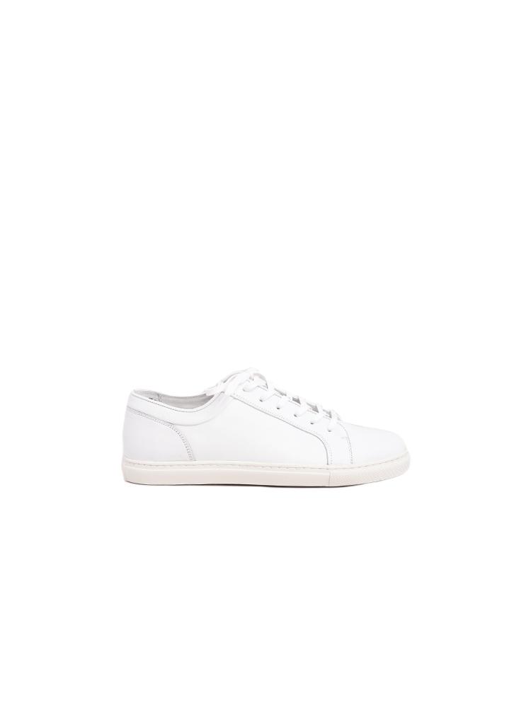 Rodd and Gunn Aria Lace-Up Sneaker - Saint Bernard