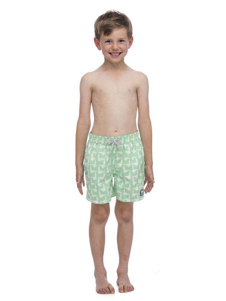 Tom & Teddy Boys' Seagulls Swim Trunks - Saint Bernard