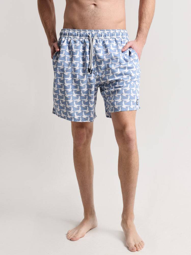 Tom & Teddy Men's Seagull Swim Trunks - Saint Bernard