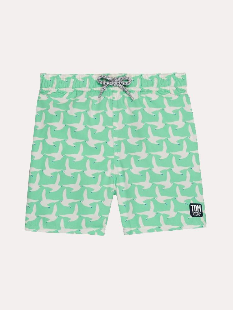 Tom & Teddy Boys' Spring Green Seagulls Swim Trunks - Saint Bernard