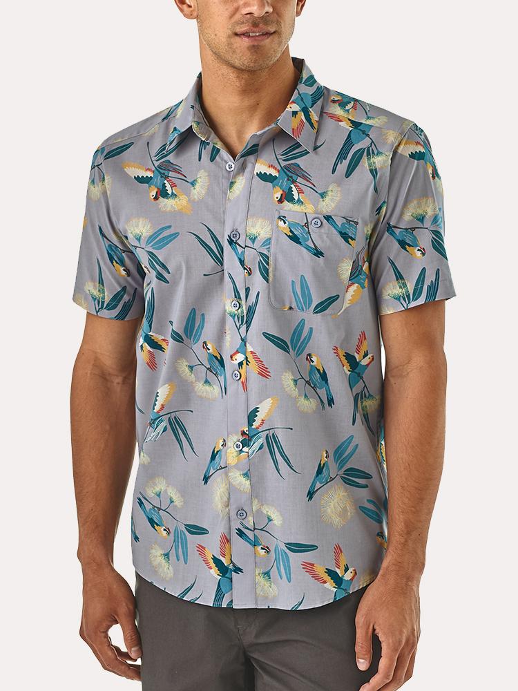 Patagonia Men's Go To Shirt - Saint Bernard