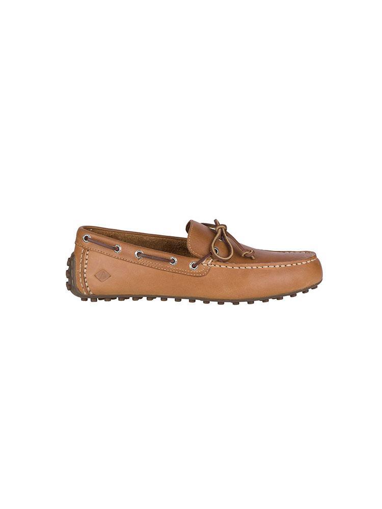 Sperry Hamilton II - Saint Bernard