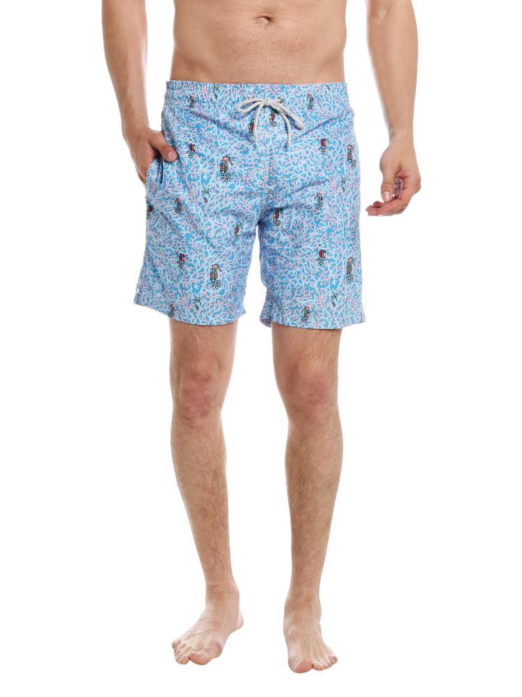 Michaels Swimwear Seahorses - Saint Bernard