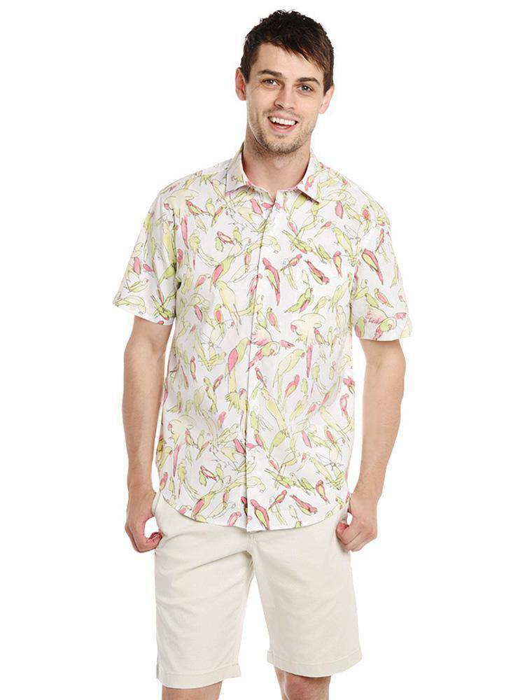 Tommy Bahama Loro Fiesta - Saint Bernard