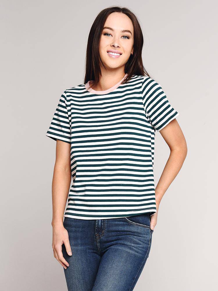 Mod Ref Top - Saint Bernard