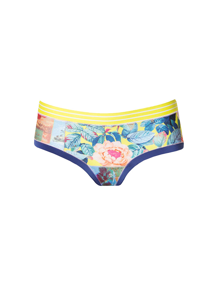 Xirena Cleo Pant - Saint Bernard
